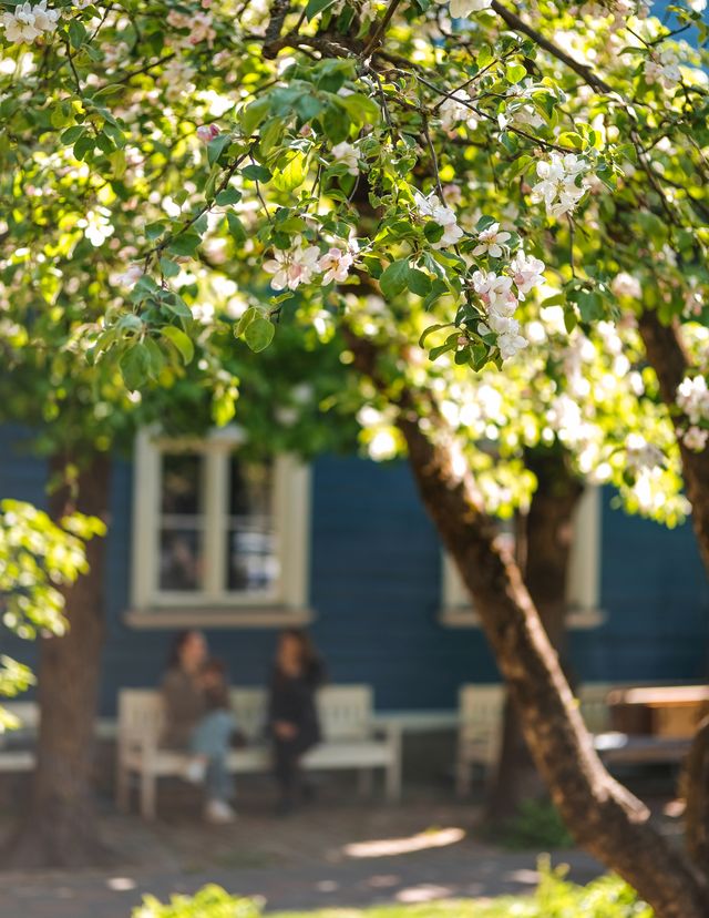 Looking for different date and time?