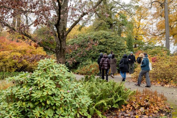 Riga Across the River – Kalnciema Quarter, Botanical Garden & Modern Pārdaugava